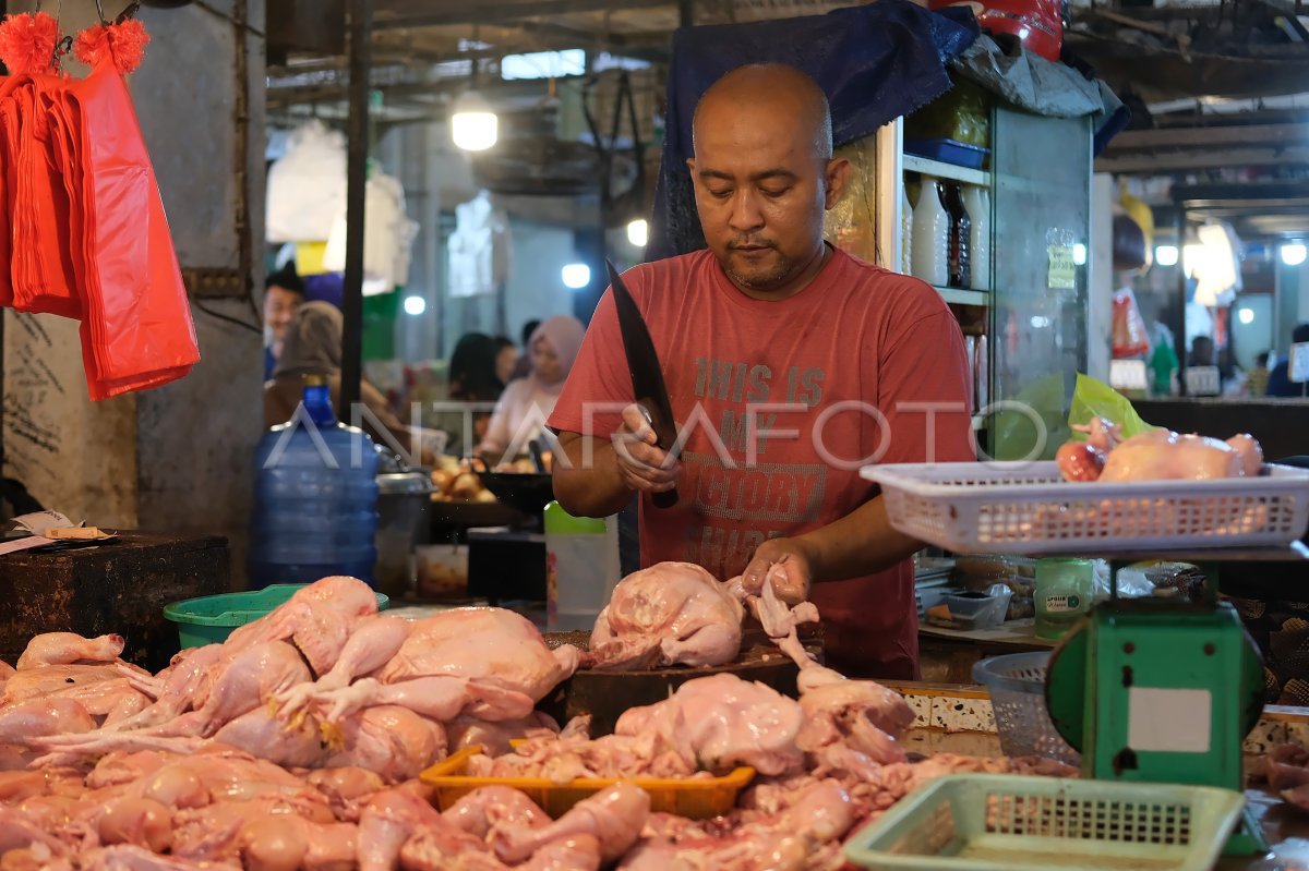Ayam Potong Segar di Cilacap: Kenikmatan yang Menggugah Selera